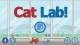 Cat Lab!