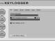 Mini Keylogger
