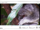 Gihosoft Free Video Cutter