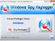 Spy Keylogger for Windows