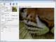 PhotoZoom Classic