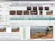 Sony Vegas Movie Studio Platinum