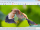 Easy Photo Studio FREE for Windows