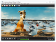 MPlayer for Windows (Full Package)