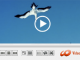 HD Video Media Player for Windows