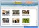 Digital Pics Recovery