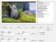 VB6VideoPlayer