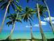 dArt Tropical Islands vol.1