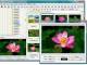 Faststone Image Viewer