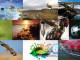 Windows 8.1 Themes