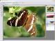 Altarsoft Photo Editor