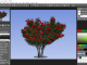 Tree Studio