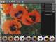 XnSketch x64