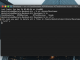 xTerminal