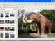 Better JPEG photo editor