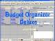 Budget Organizer Deluxe