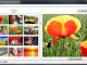 Flickr Mass Downloader