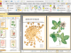 PDF-XChange Pro