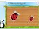 Panda Preschool Activities