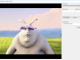 IP Camera Directshow Filter
