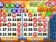 Bingo! for PC Download