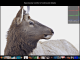 Polarr Photo Editor