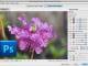 Neat Image plug-in for Photoshop x64