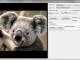 Viscomsoft .Net Video Capture SDK