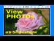 Able Photo Slide Show