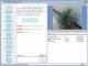 Screen and Video Broadcast