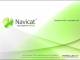 Navicat Essentials for MySQL