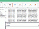 Birdie PST to PDF Migrator
