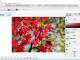 ImageProc