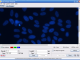 GSA Image Analyser