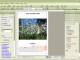 SF Kalender
